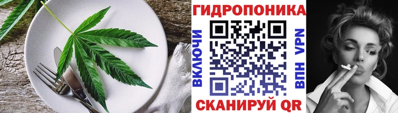 Canna-Cookies марихуана  закладки  Можга 