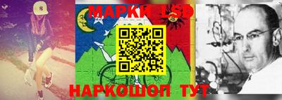 индика Заводоуковск