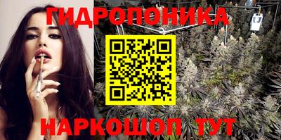 индика Заводоуковск