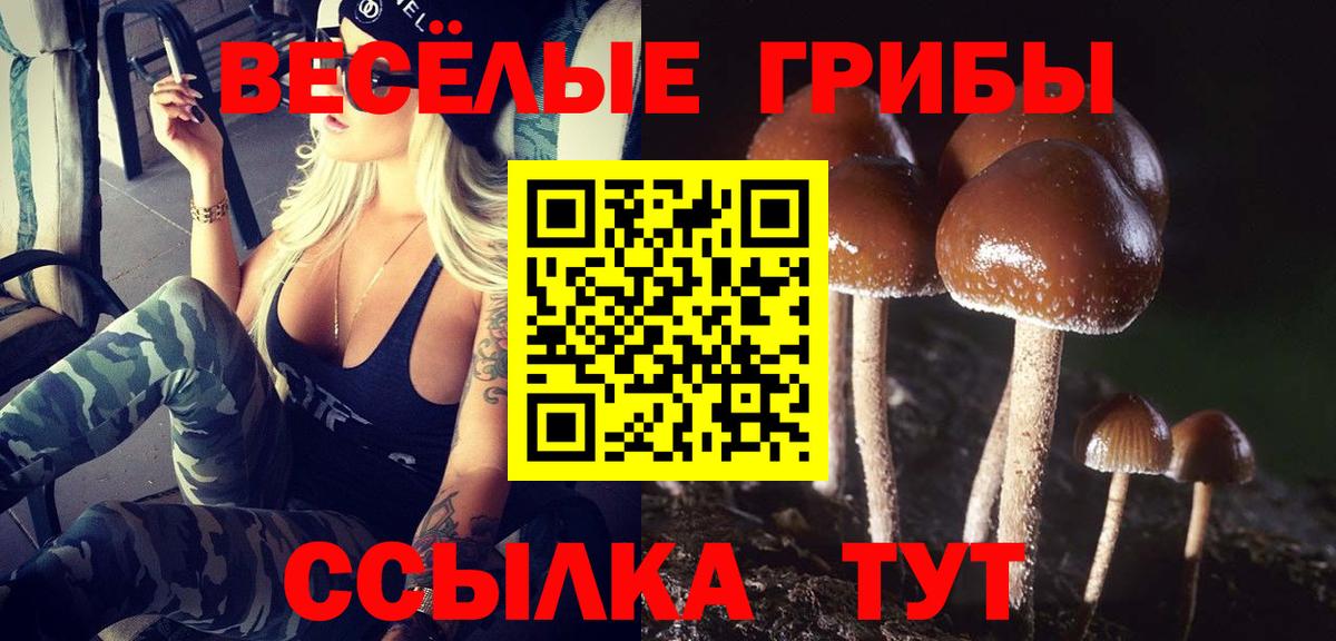 где найти наркотики  Можга  Псилоцибиновые грибы мухоморы  Псилоцибиновые грибы мухоморы 