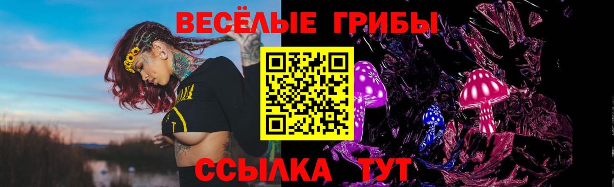 Галлюциногенные грибы GOLDEN TEACHER Можга