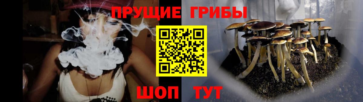 Галлюциногенные грибы ЛСД Можга